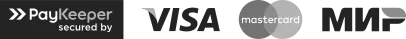 PayKeeper, Visa, Mastercard, МИР